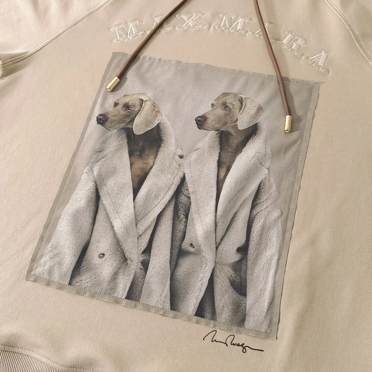 MaxMara  |Cotton Logo Hoodies & Sweatshirts