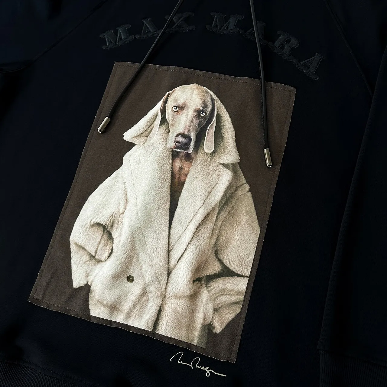 MaxMara  |Cotton Logo Hoodies & Sweatshirts