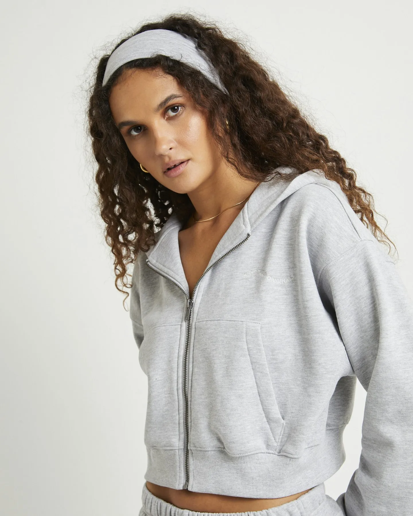 Subtitled Wave Origin Zip Hoodie - Grey | SurfStitch