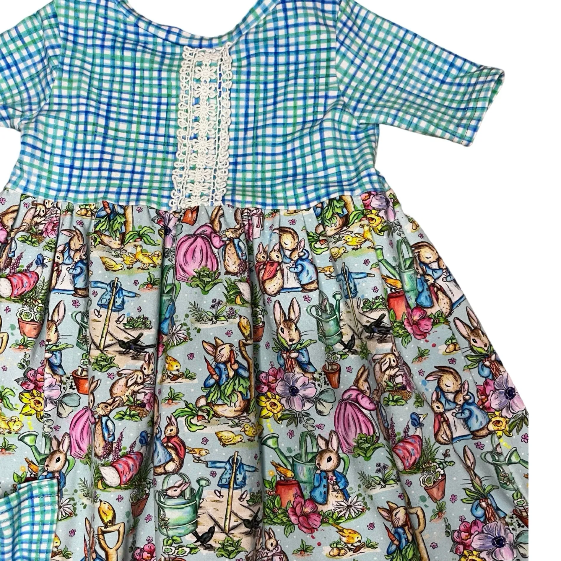 Unknown Peter Rabbit Dress